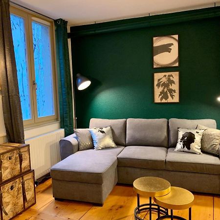Appartements Des 2 Tetes Colmar Eksteriør bilde