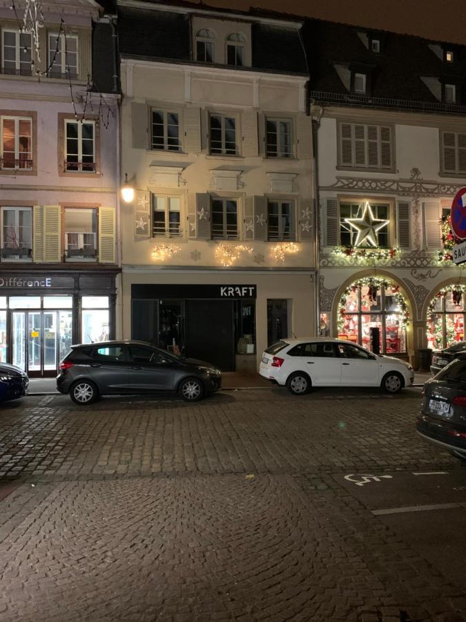 Appartements Des 2 Tetes Colmar Eksteriør bilde