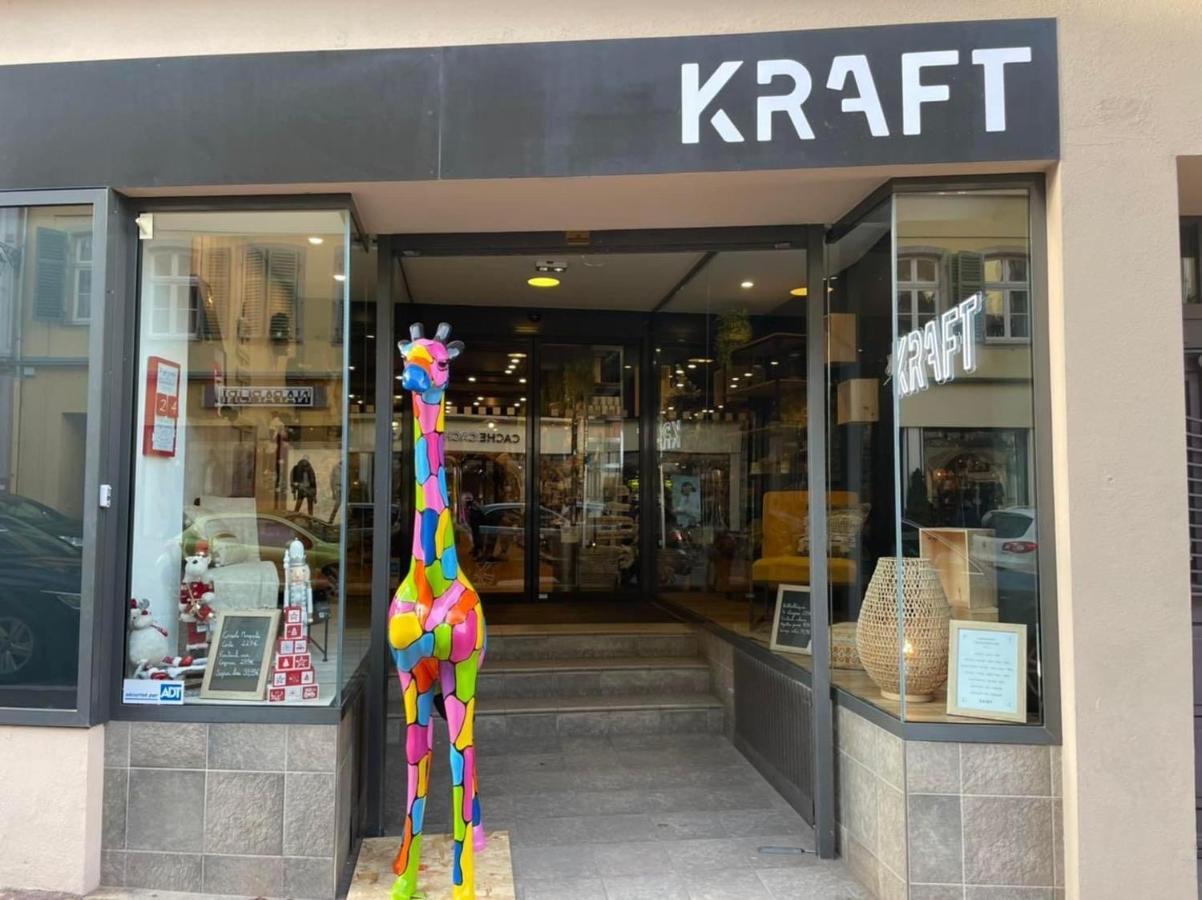 Appartements Des 2 Tetes Colmar Eksteriør bilde