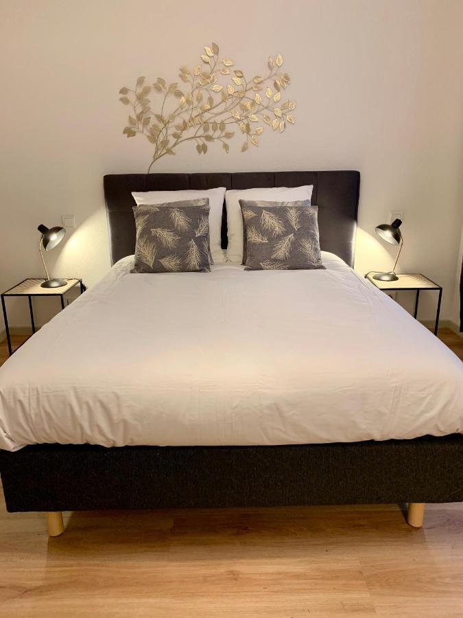 Appartements Des 2 Tetes Colmar Eksteriør bilde
